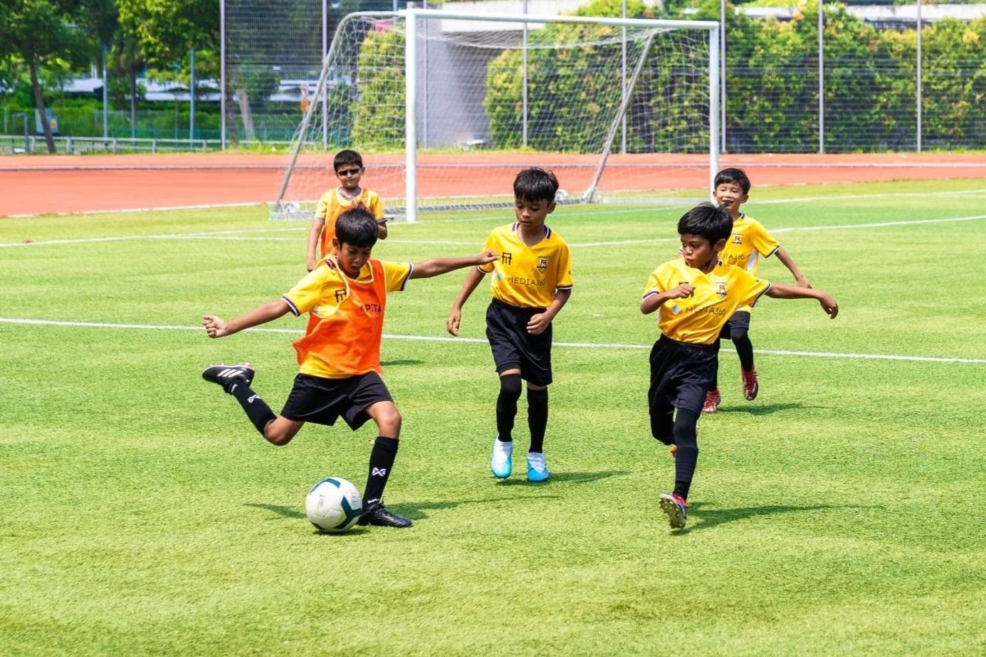 Development Programme photo 1